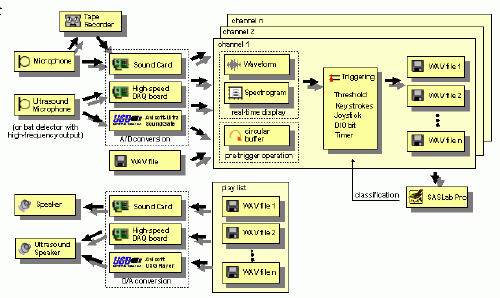 Avisoft-RECORDER screen shot